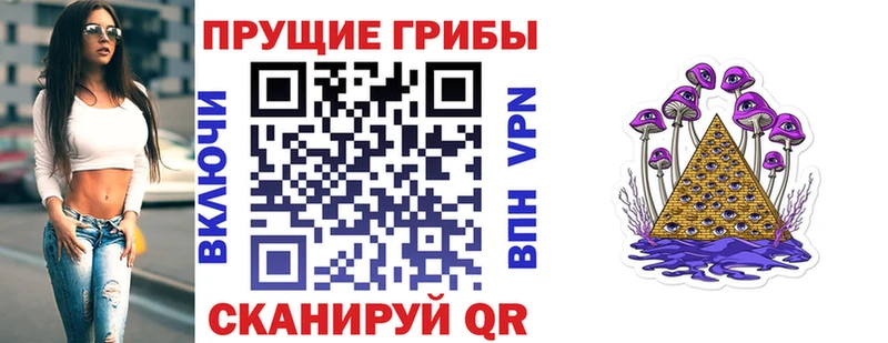 как найти наркотики  Полесск  Псилоцибиновые грибы мухоморы 